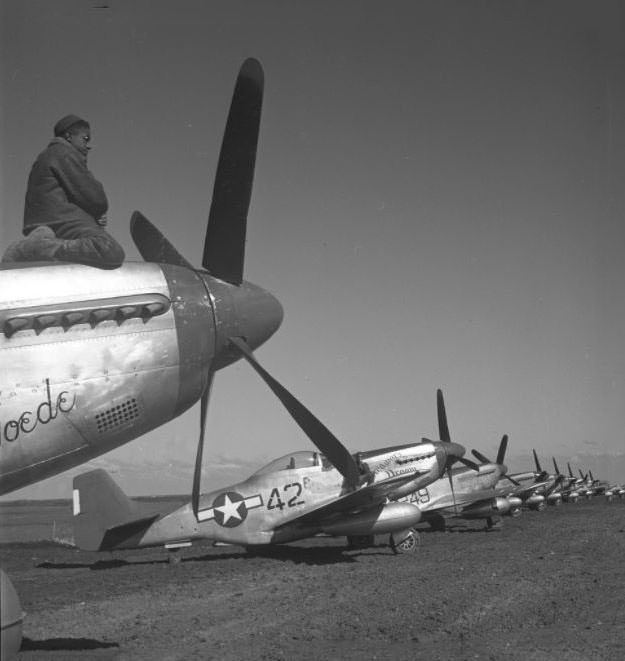 #8 A Tuskegee airman sitting on top of an airplane, a P-5D, Creamer’s Dream airplane in the background