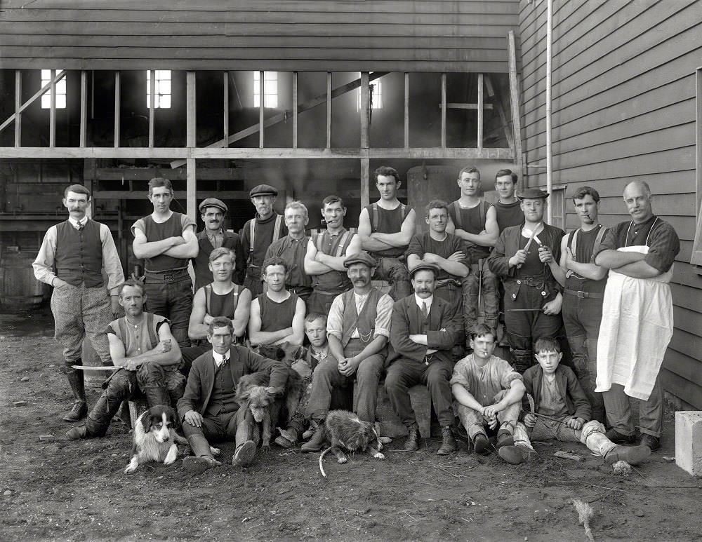 #21 Employees of Thomas Mitchell Ltd, Whanganui, New Zealand, 1914