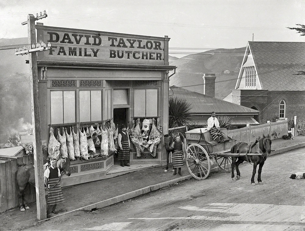 #46 David Taylor’s butcher shop, Wadestown, showing decorated carcasses and horse-drawn delivery cart, Wellington, New Zealand, 1910