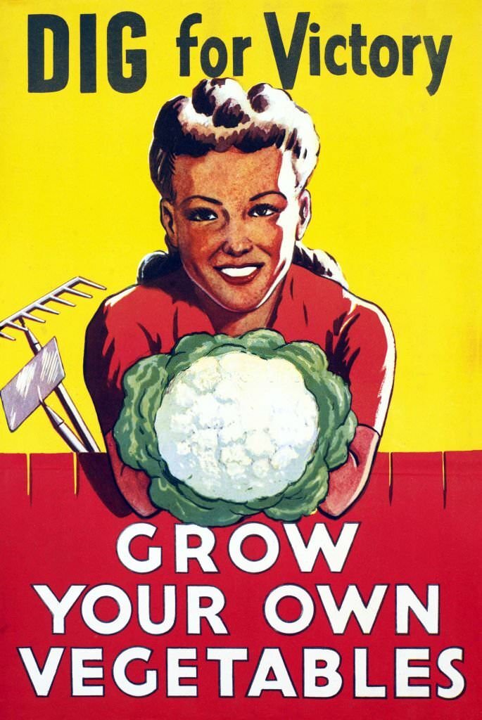#93 One of the most memorable campaigns during World War Two, was the ‘Dig for Victory’ campaign.