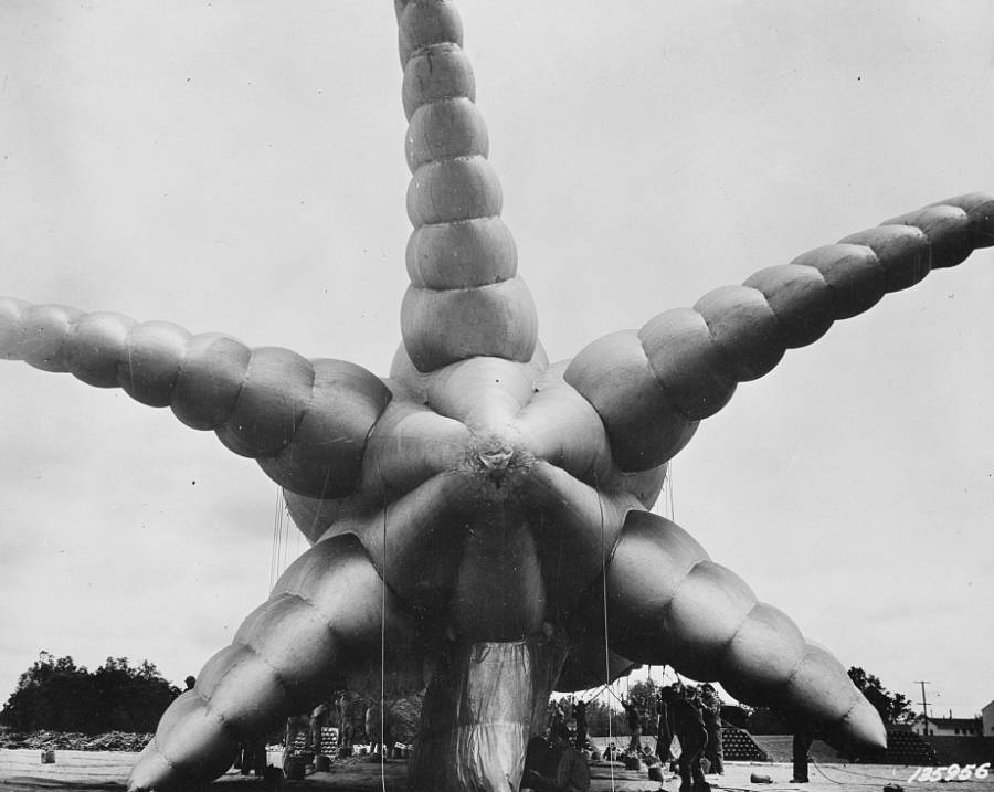 An enormous octopus balloon rises from the ground at the barrage balloon training center of Tennesse’s Camp Tyson, circa World War II.