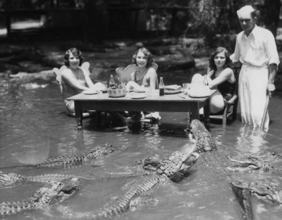 A picnic at Los Angeles’ California Alligator Farm, where patrons were allowed to mingle freely among trained alligators from 1907 to 1953.