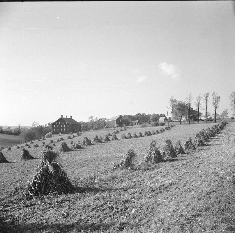 #26 Farm near Hagerstown, Maryland