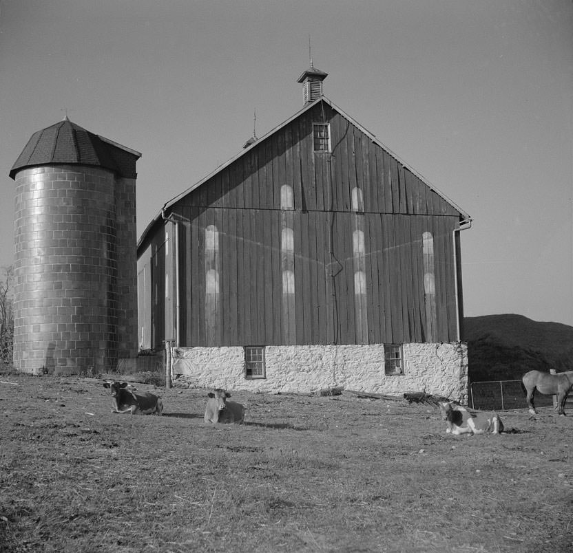 #5 Barn with painted windows near Hagerstown, Maryland