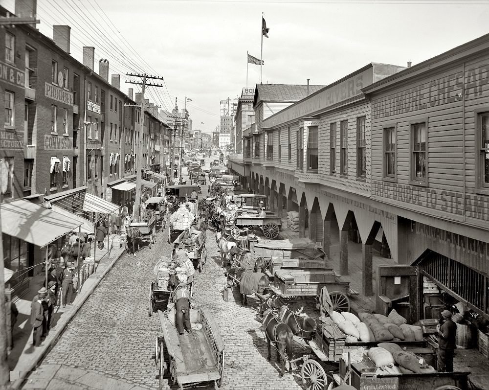 #16 Light Street looking north, Baltimore, Maryland, circa 1906