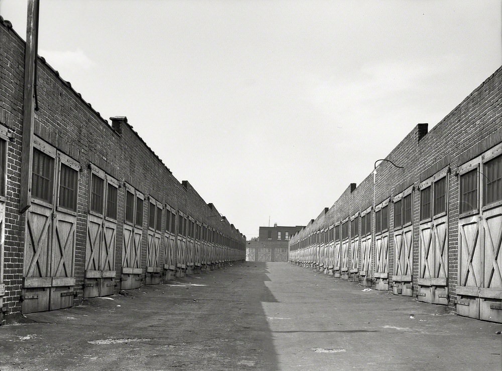 #42 Garages in alley behind row houses, Baltimore, Maryland, July 1938