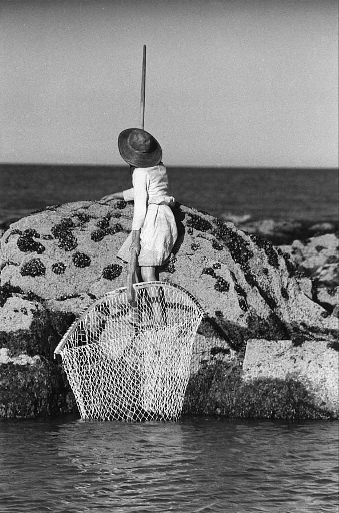 #2 Netting Shrimp (Portugal), 1957