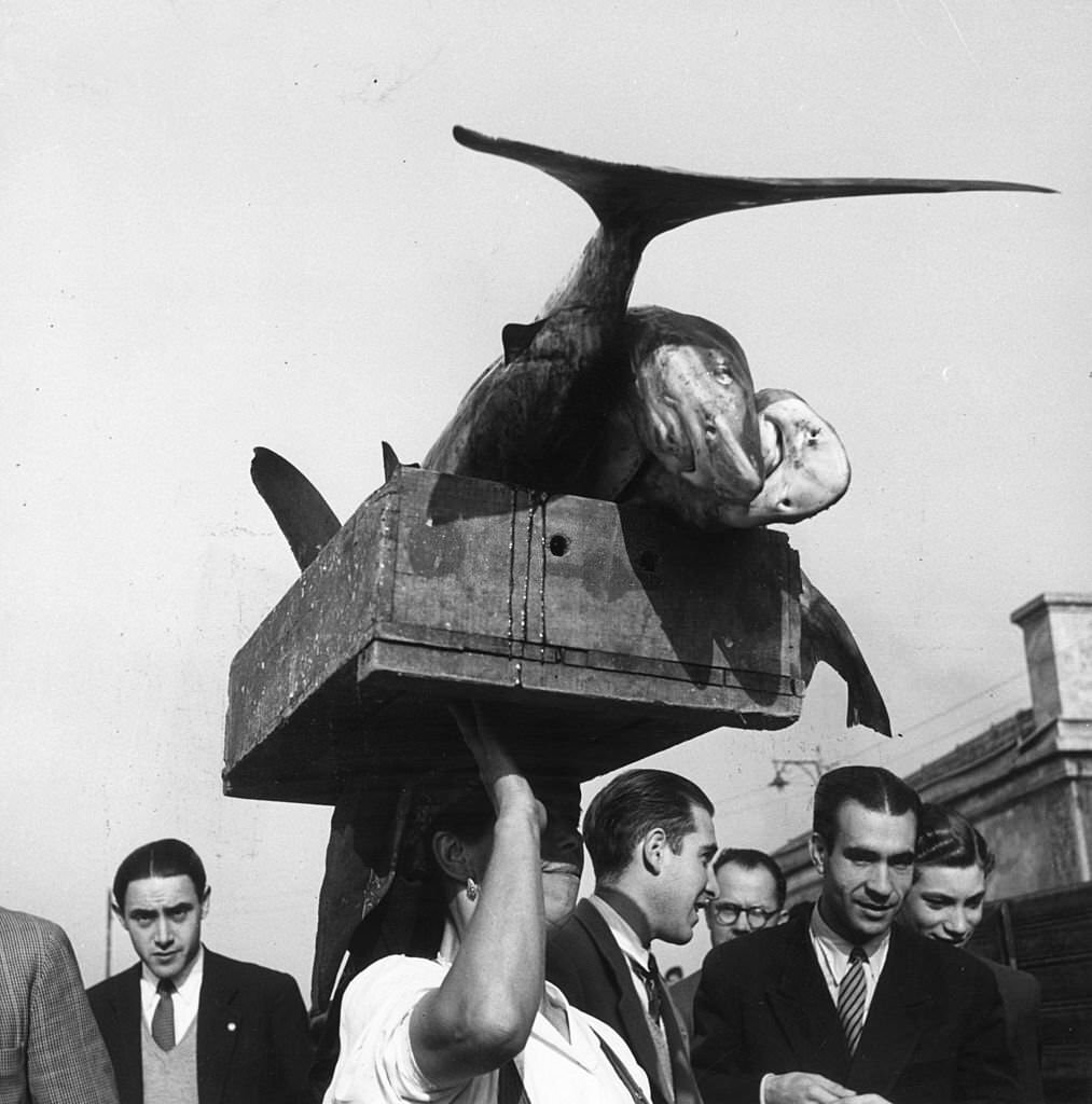 #17 A fishmonger carries her wares, a crate of small sharks, on her head as she walks along the quays of the Tagus River in Lisbon, 1950