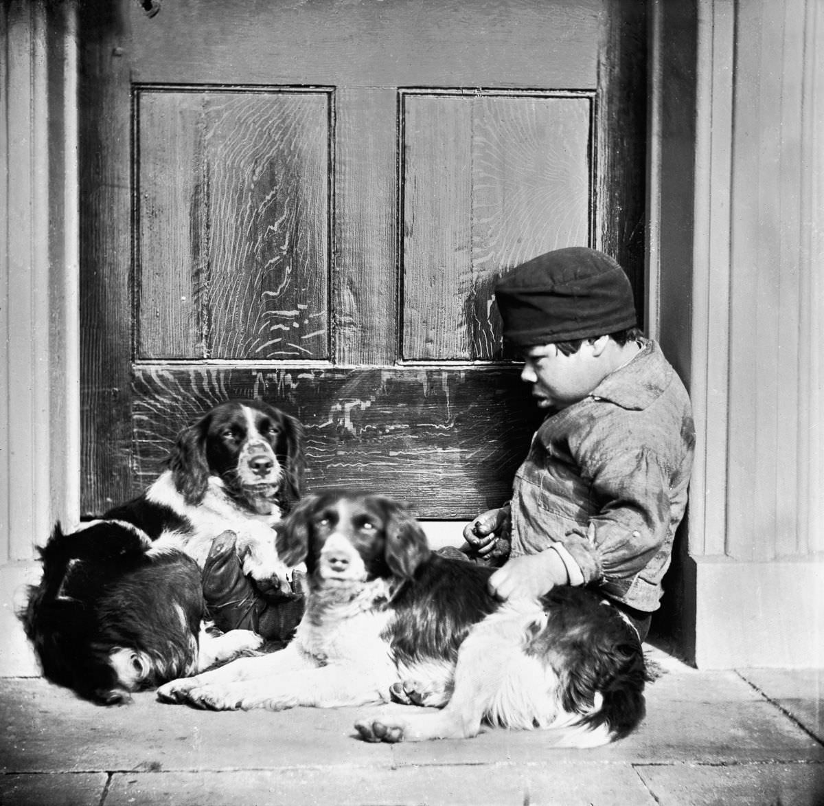 #6 Boy’s Best Friends