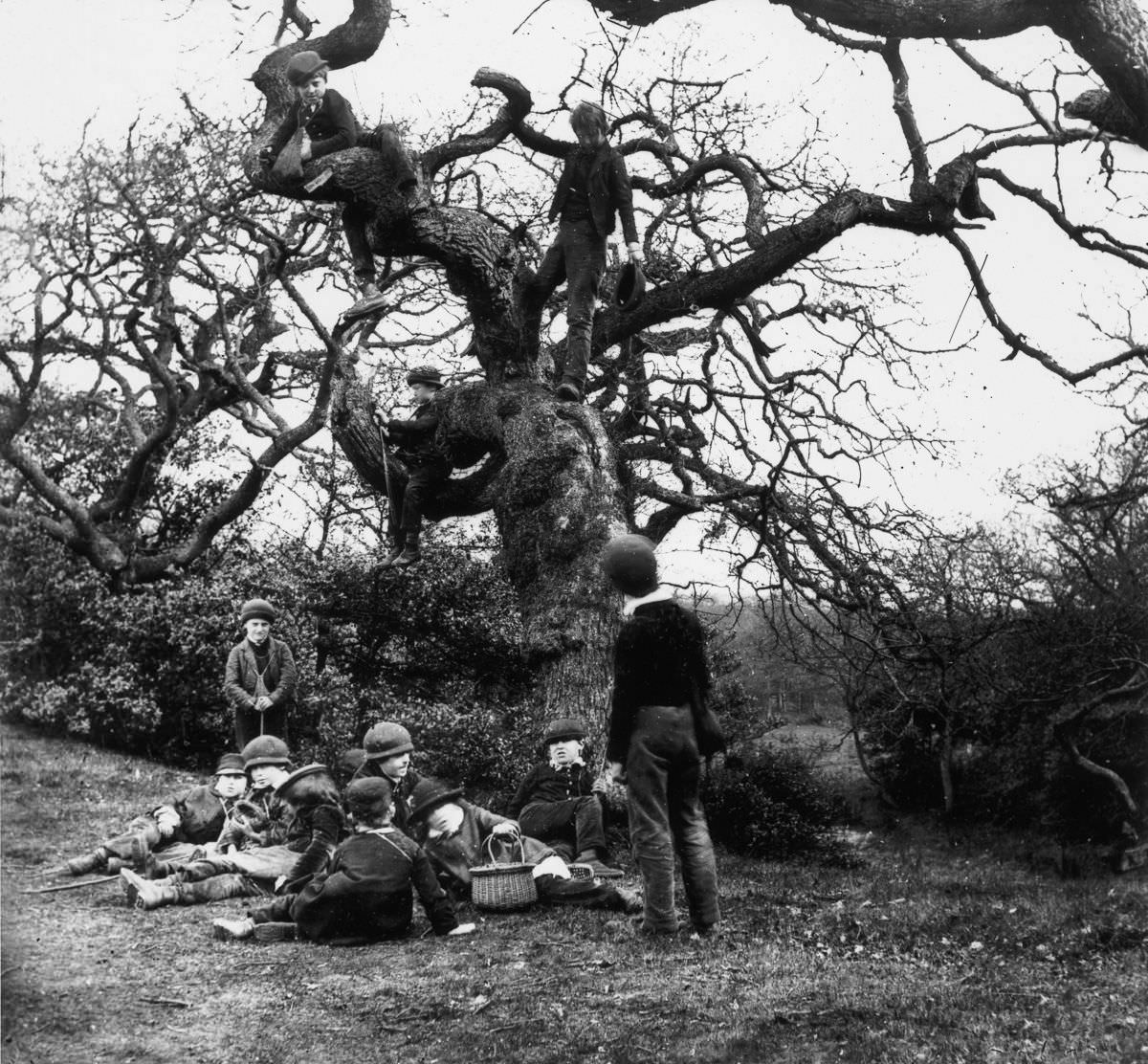 #30 Boys in the Wood