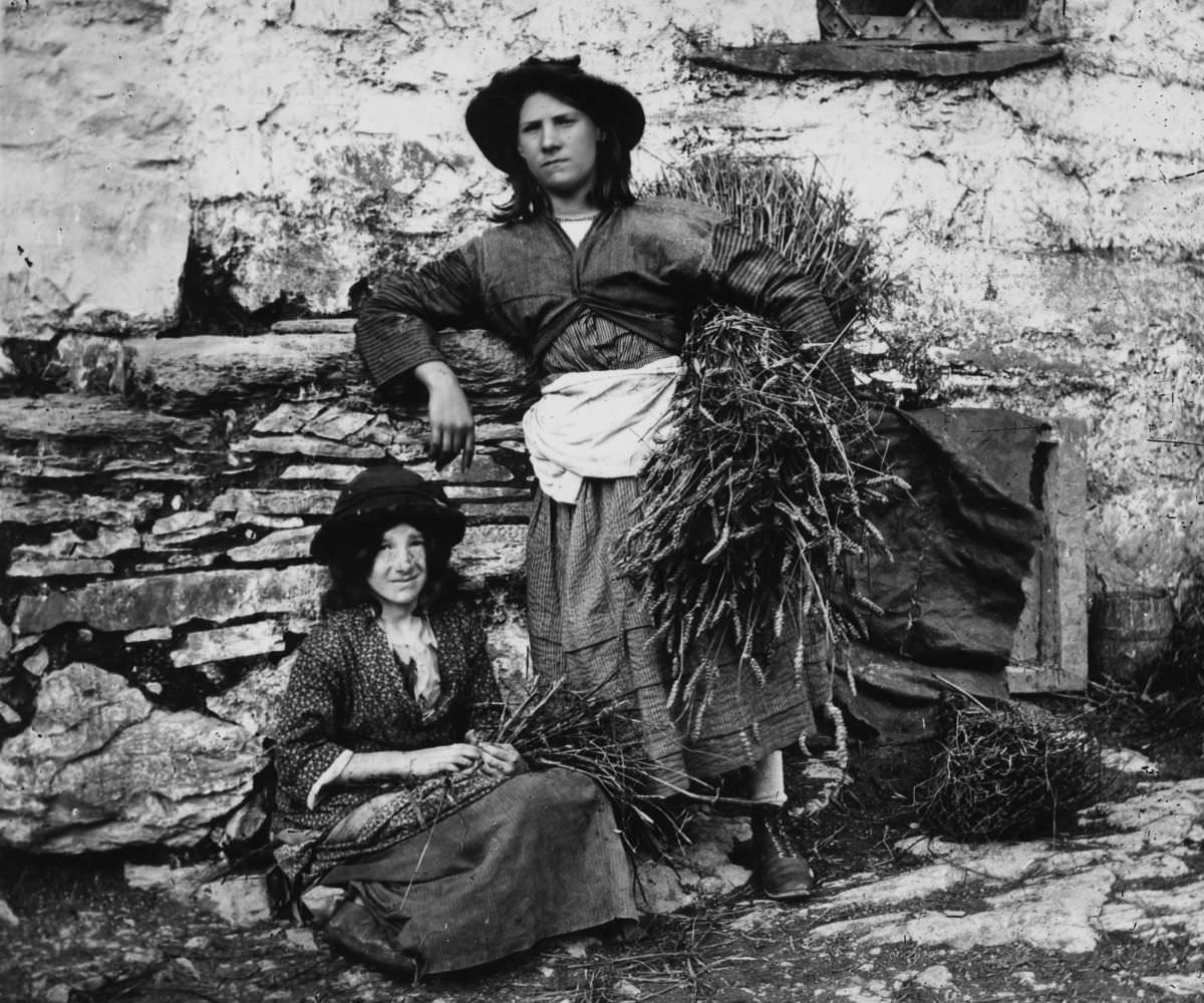 #3 Gleaners