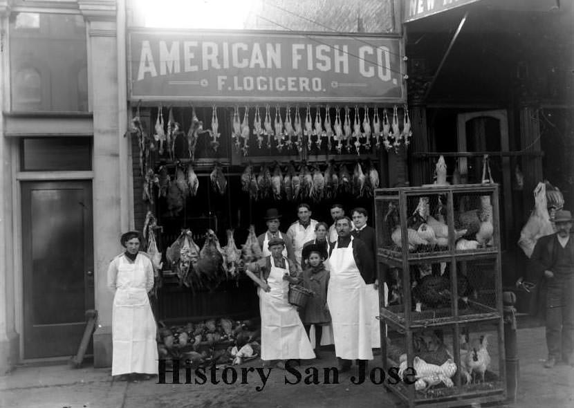 #92 American Fish Co., F. Locicero; lots of fowl, 1890s