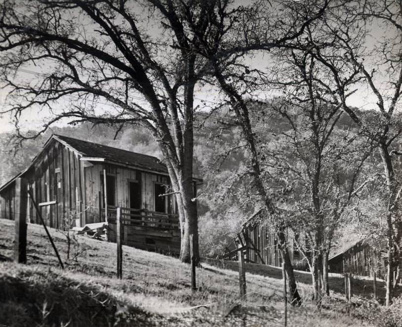 #122 Guadalupe Mine, Miner’s Cabin, 1940