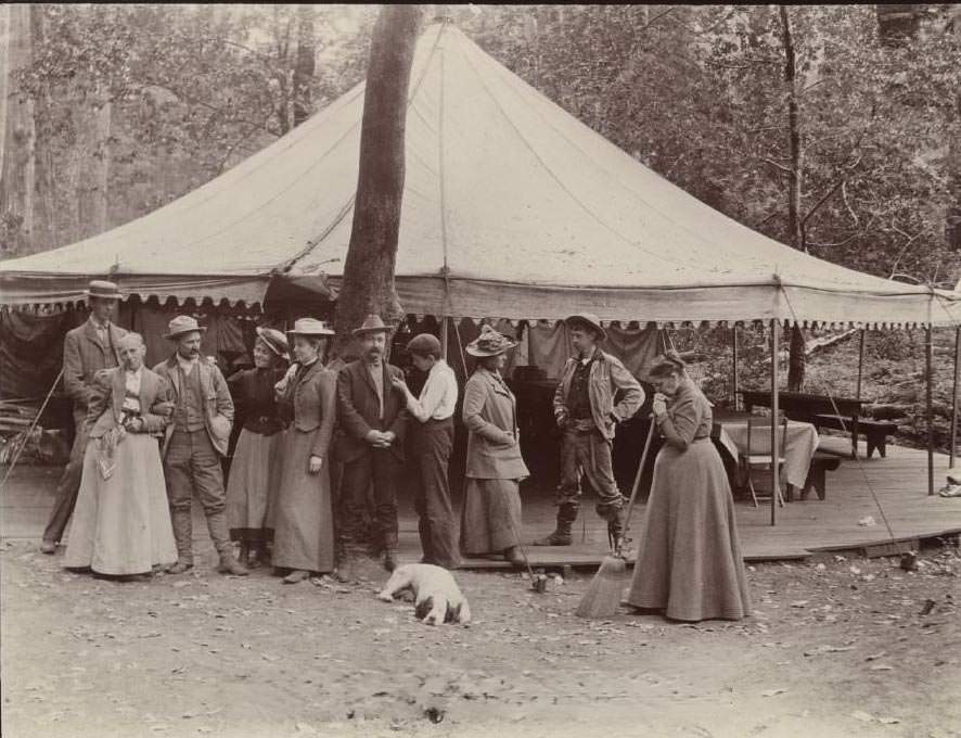 #129 Group of Sempervirens, 1910s
