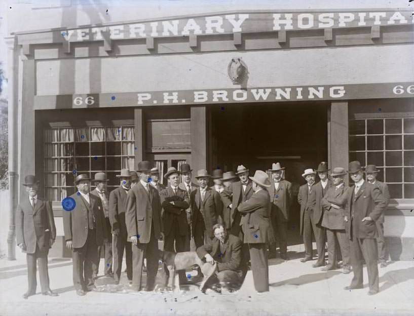 #59 P. H. Browning Veterinary Hospital waddress, 1880s