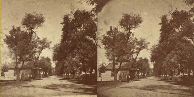 #3 San Jose to Santa Clara. The Alameda Road, 1865