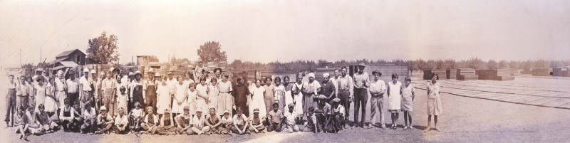 #88 Field workers in fruit drying yard, 1935