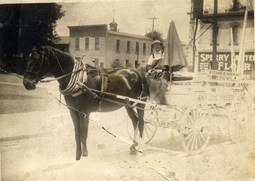 #140 Man with horse drawn cart for San Jose Paper, 1910