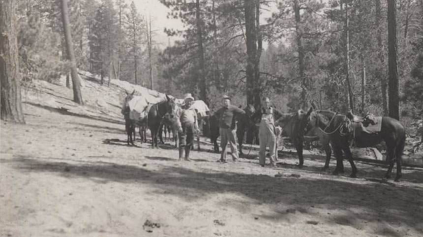 #95 Three men with horses, in the woods, holding rifles, 1937