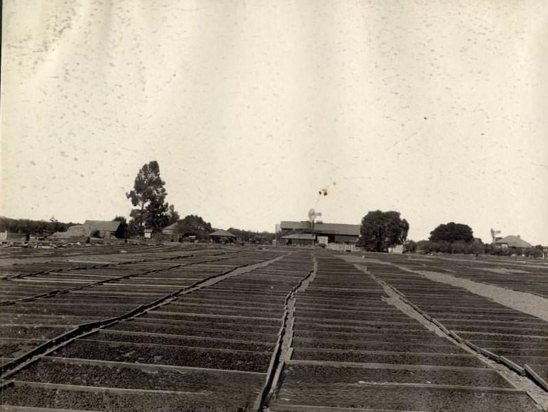 #139 A drying ground west side district near line of S. J. &, 1903