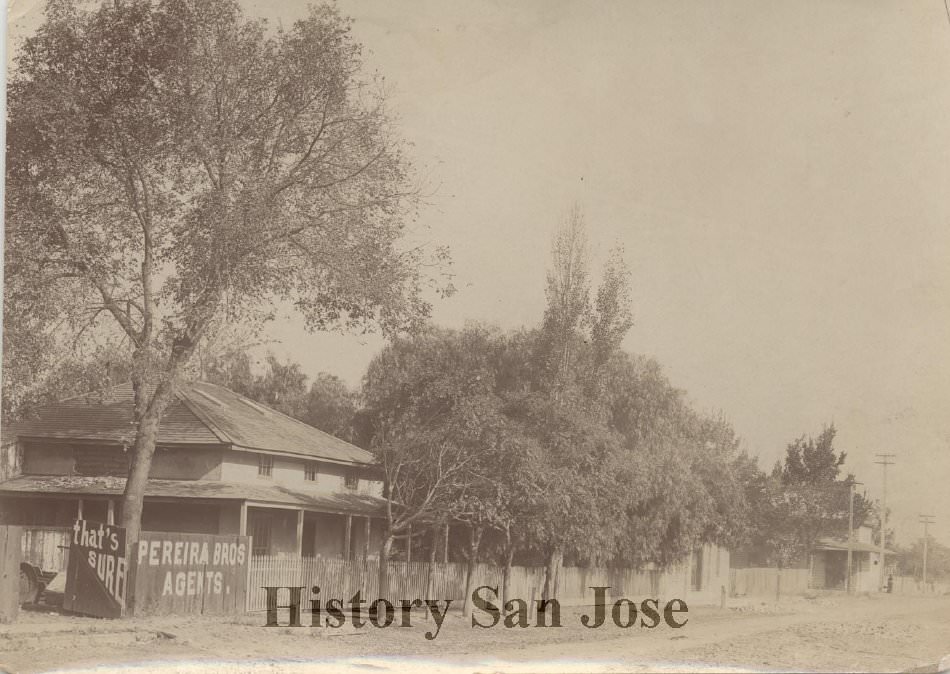 #168 Gubserville, 1904