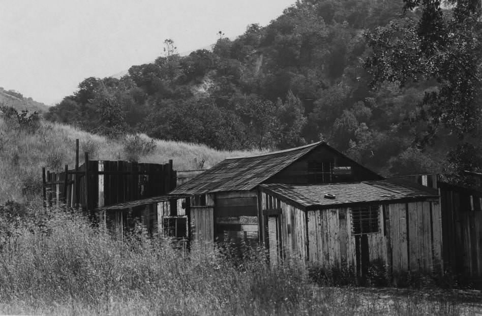 #163 San Jose, Alum Rock jail, 1900