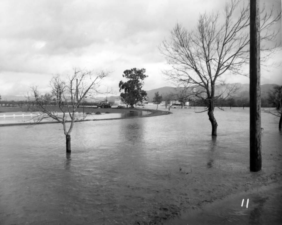 #43 Agnews State Hospital, 1952