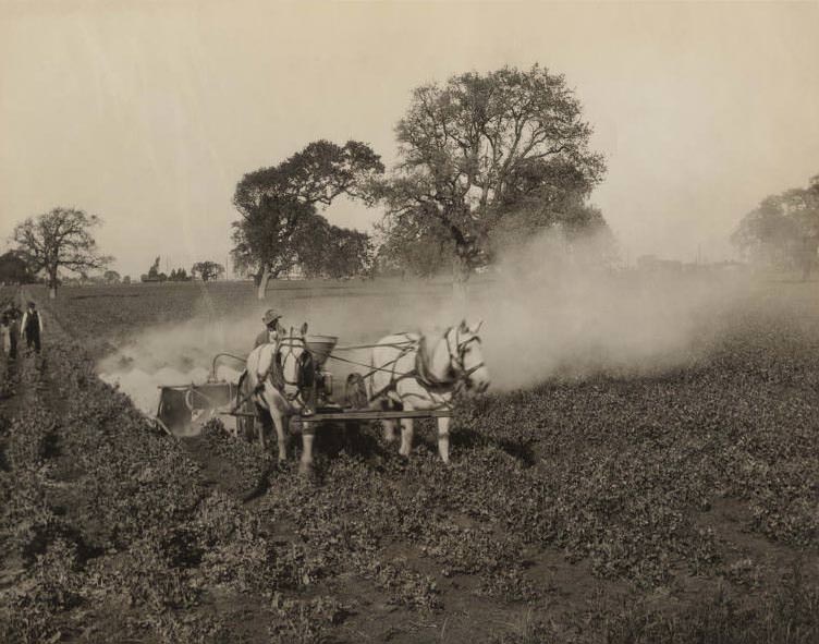 #179 Horse Drawn Crop Sprayer, 1910