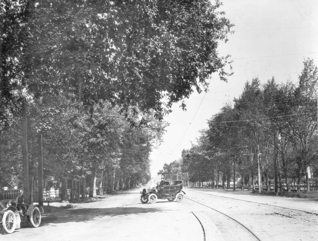 #193 View of a street near the Alameda between Santa Clara Street and San Jose Street, 1900