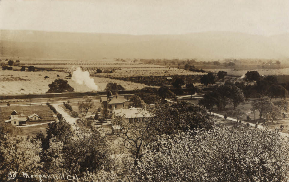 #208 View of Morgan Hill, 1900