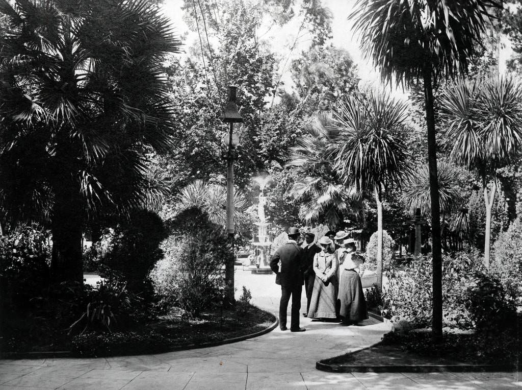 #221 St. James Park, 1890