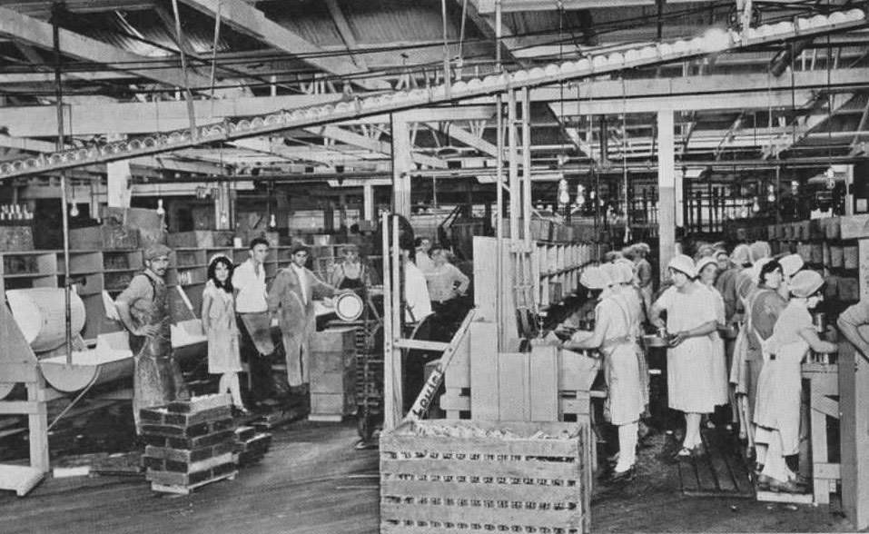 #22 Postcard of Fruit Canning, San Jose, California, 1890s