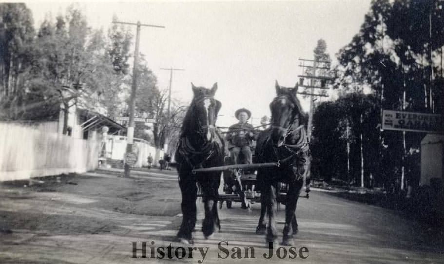 #36 Man driving in horse-drawn cart down a street, seen from the front. Likely Evergreen, near San Jose, 1920
