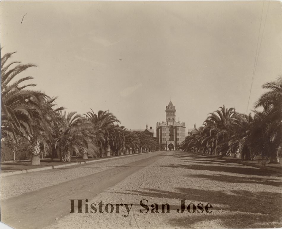 #48 Agnews State Hospital, front view up new, Palm tree lined drive, 1890