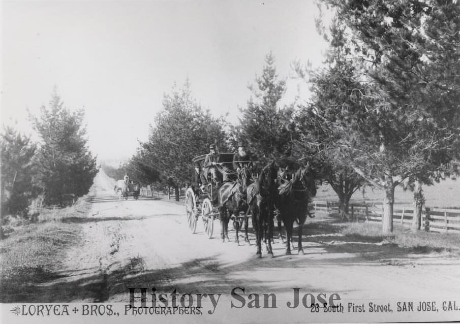 #54 Stagecoaches enroute to Mount Hamilton on Alum Rock Avenue near the San Jose Country Club, 1895