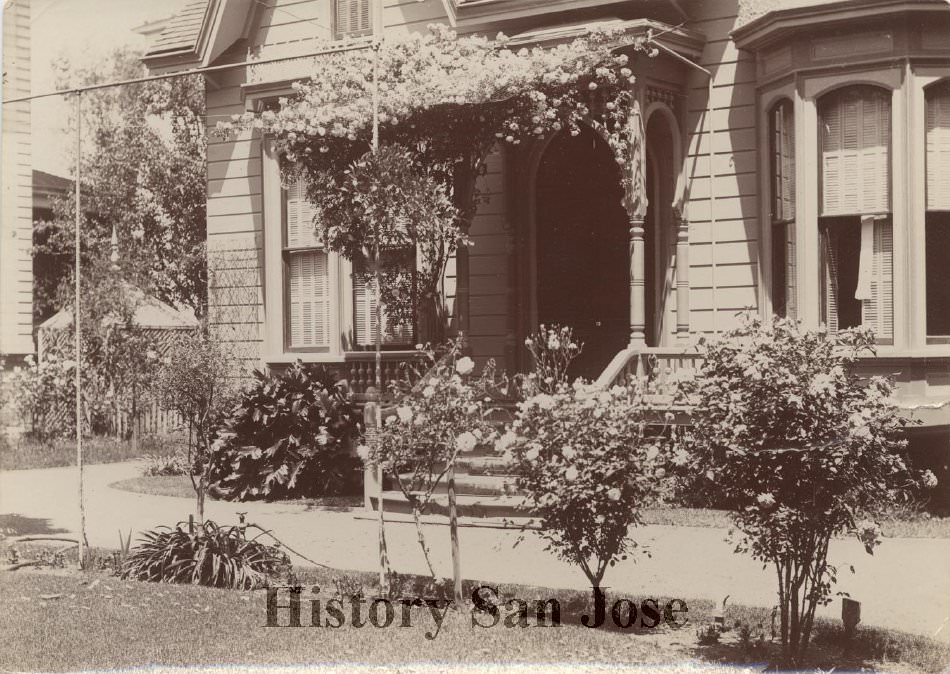 #68 Roses in garden and on porch, 1895