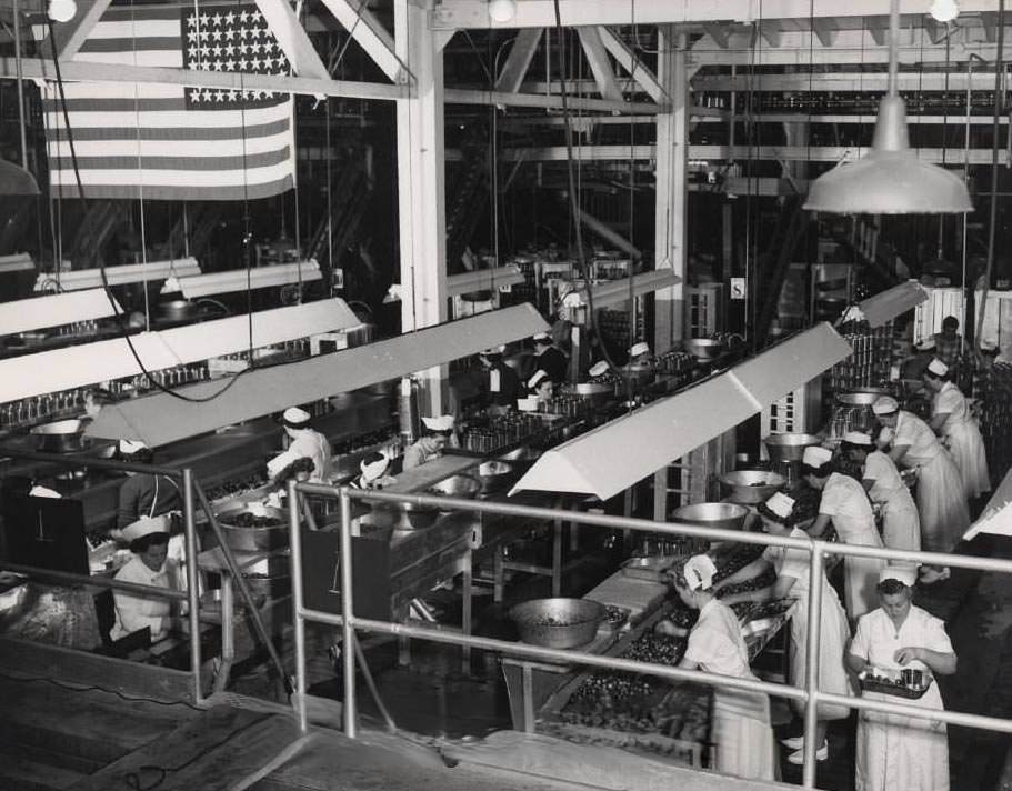 #27 Sorting Prunes, U. S. Products Corp, 1951
