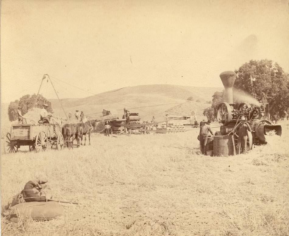 #28 Overfelt Thresher at Doemsky Ranch, Hillsdale, 1887