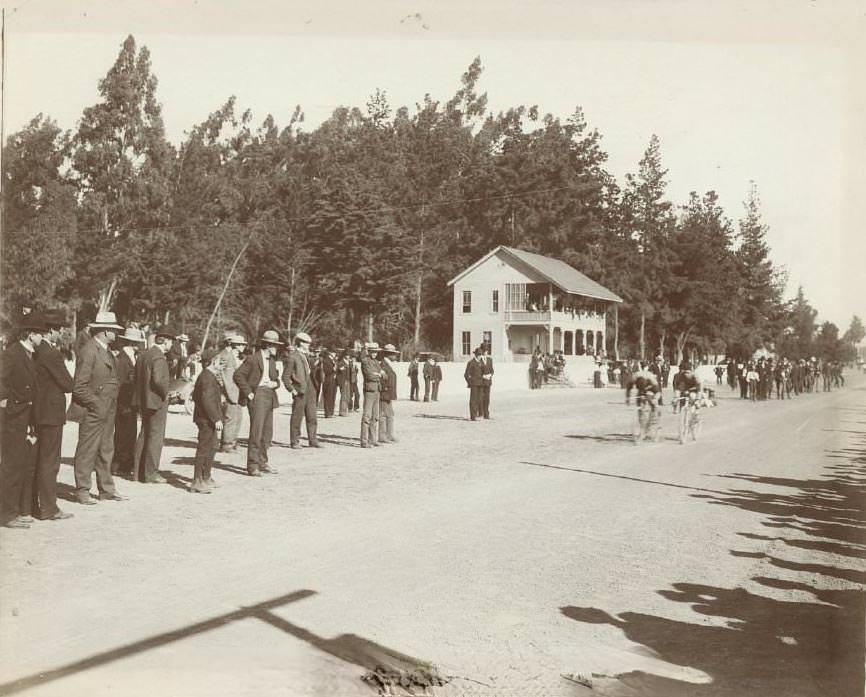 #85 Bicycle Race, Agricultural Park, 1905
