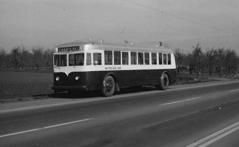 #76 Mayfair Bus Line No. 53, 1953
