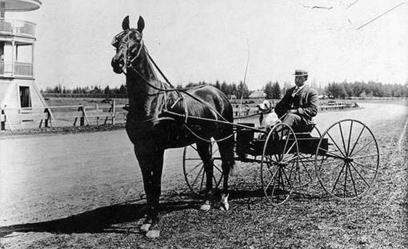 #46 Horse and Carriage at Bagley Downs Race Track, 1909
