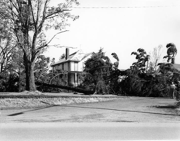 #54 McCarty House Columbus Day Storm Damage, 1962