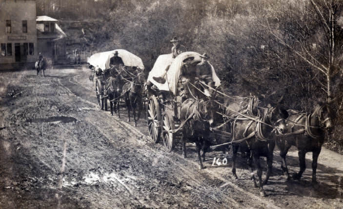 #56 Two wagons pulled by mule teams being driven down a muddy road in front of a store building, 1909
