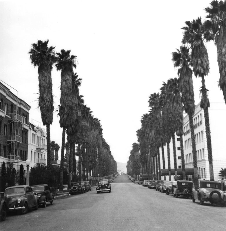 #88 The palm-lined South Kenmore Avenue in Los Angeles.