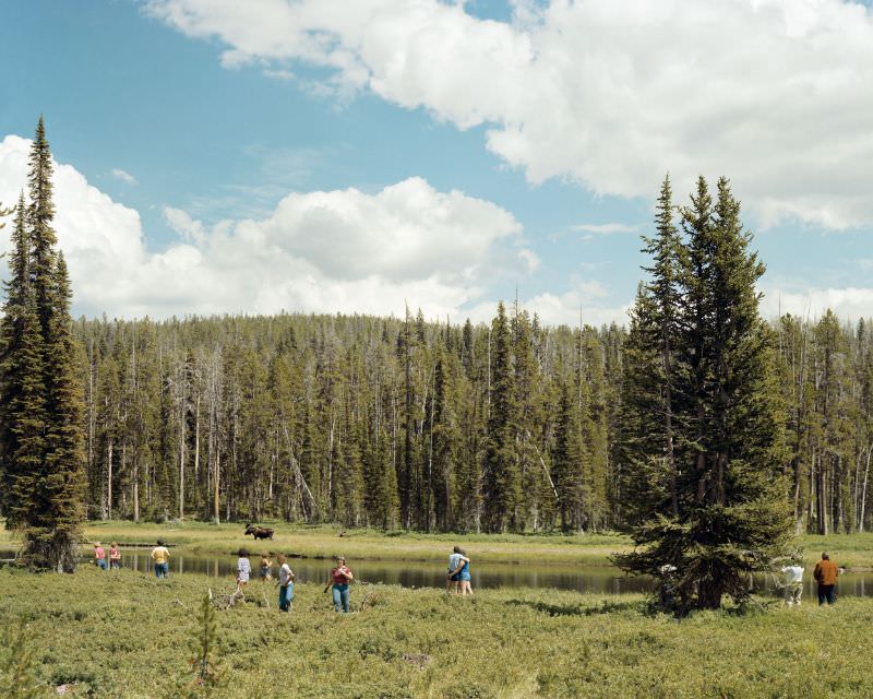 #13 Yellowstone National Park, August 1979