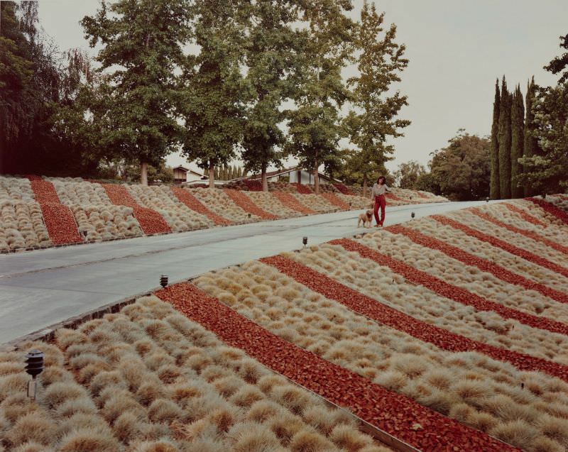 #4 Beverly Hills, California, May 1979