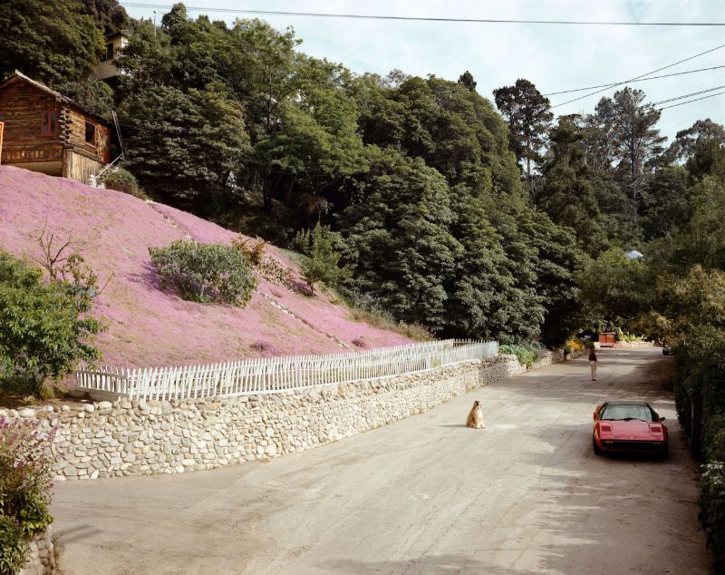 #6 Rustic Canyon, Santa Monica, California, May 1979