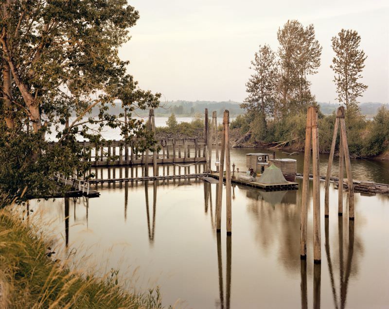 #9 Sauvies Island, Oregon, June 1979