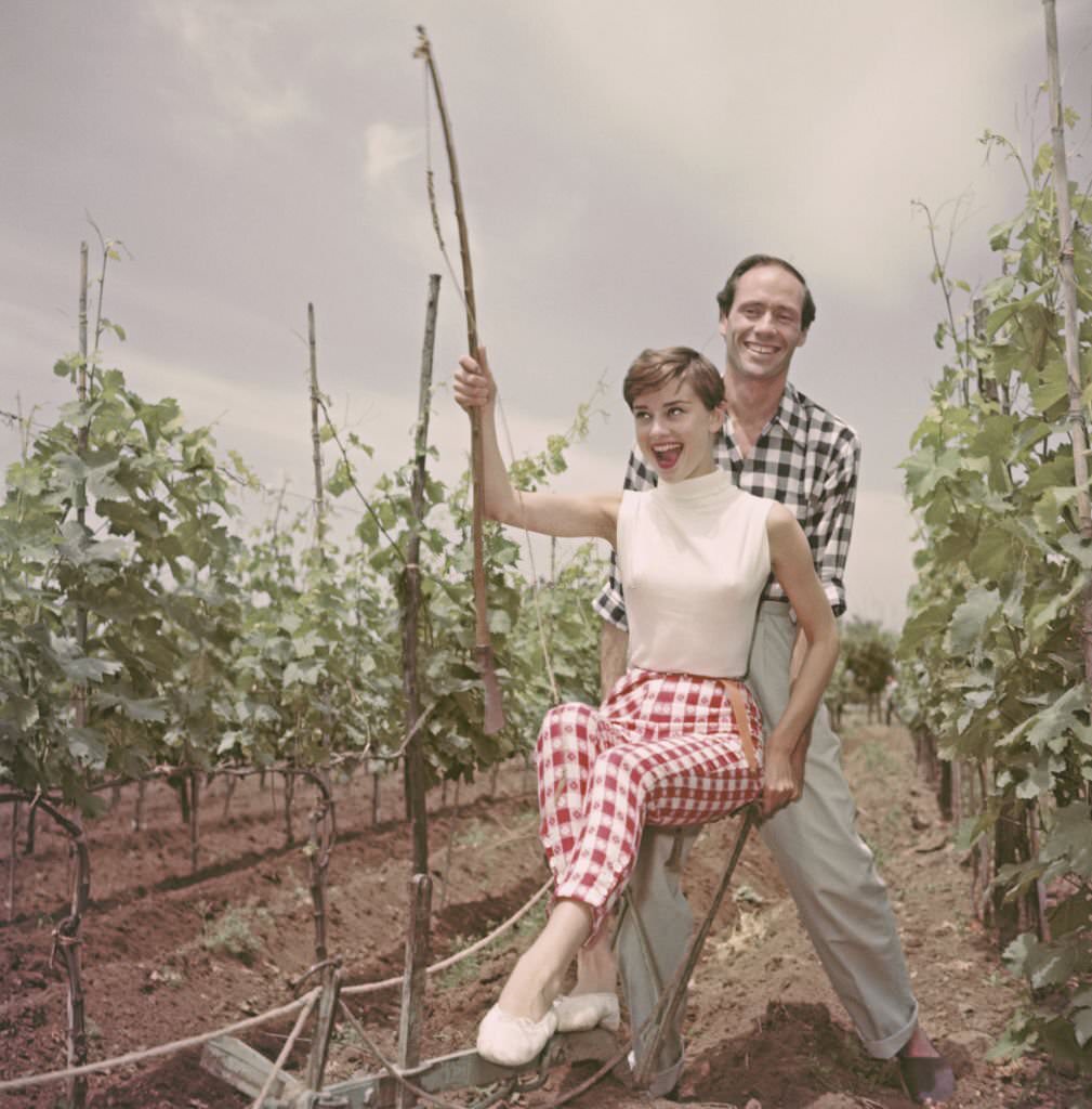 #32 Audrey Hepburn with Mel Ferrer ploughing a vineyard with her husband, 1955