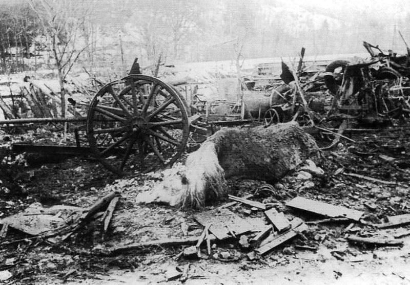 #12 March 3 ,1943 British attack on Berlin Zoo, 3900 animals of the zoo perished.